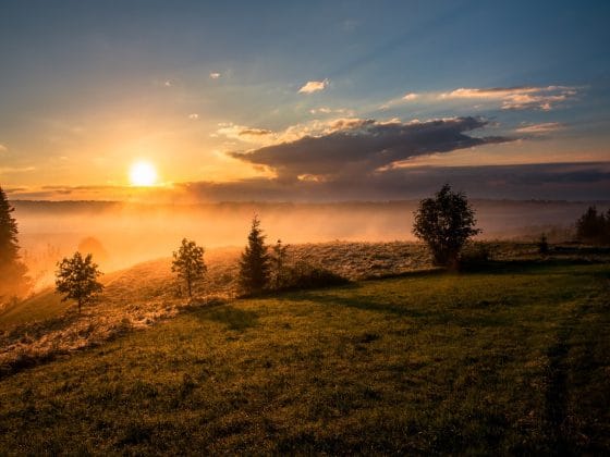 dawid zawila g3rw6y02d0 unsplash