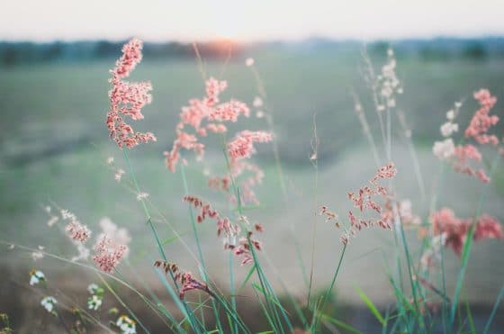 kien do njt4o7wymwk unsplash