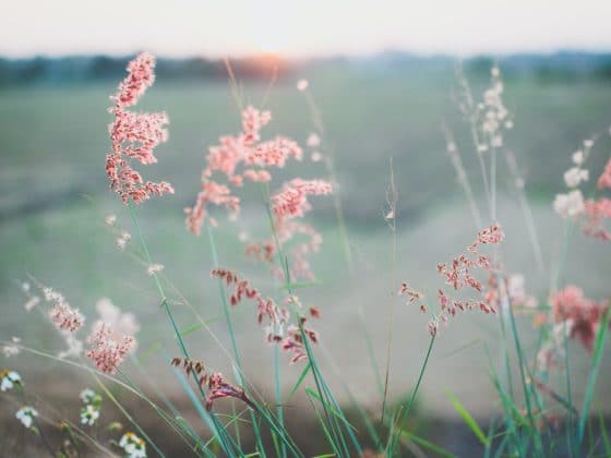 kien do njt4o7wymwk unsplash