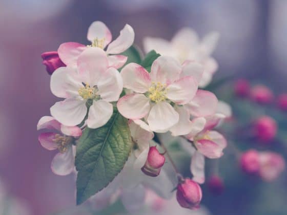 marivi pazos 4kx1uoaaohy unsplash