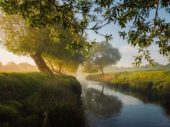 simon wilkes jlvej8idpqc unsplash