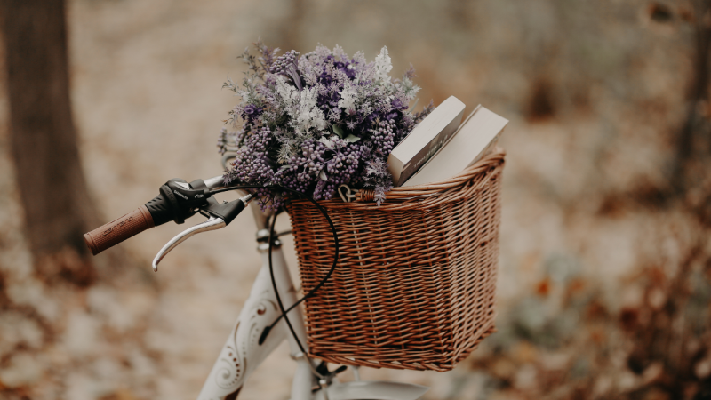 Umblarea mea zilnică – A. W. Tozer