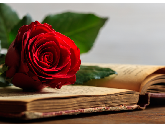 Umblarea mea zilnică – A. W. Tozer