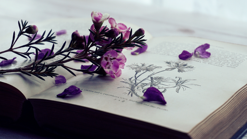 Umblarea mea zilnică – A. W. Tozer