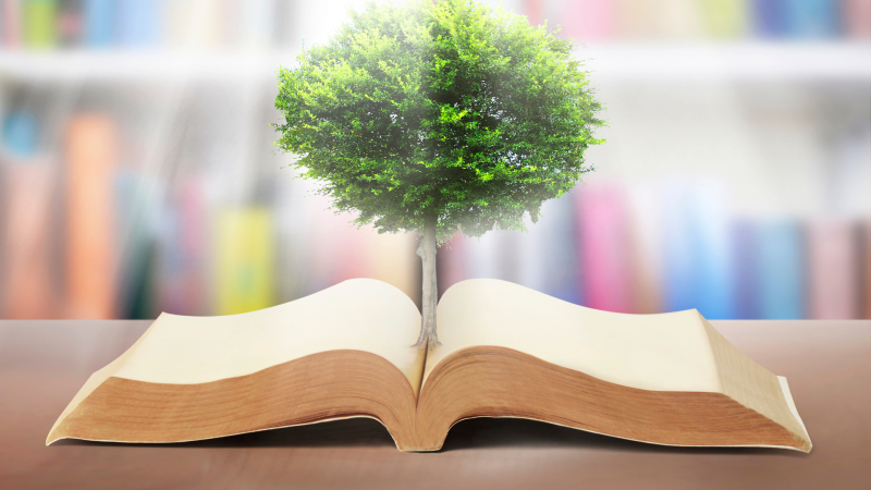 Umblarea mea zilnică – A. W. Tozer