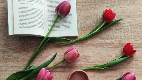 Umblarea mea zilnică – A. W. Tozer