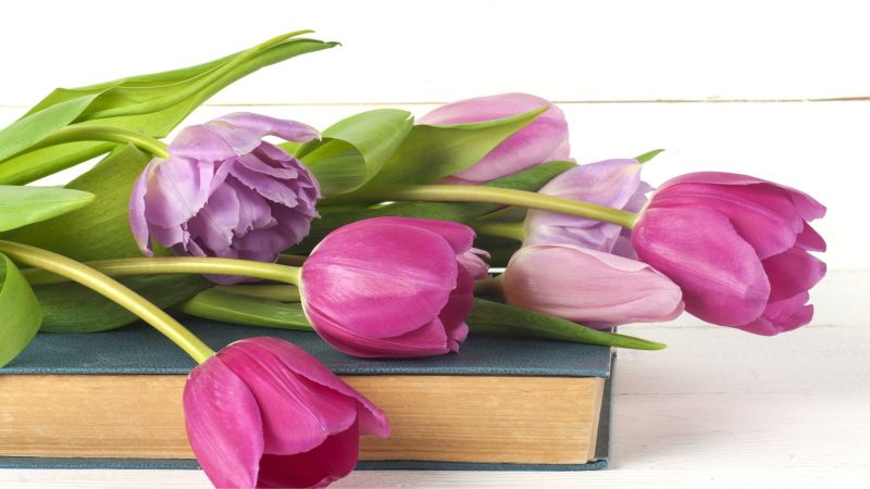 Umblarea mea zilnică – A. W. Tozer