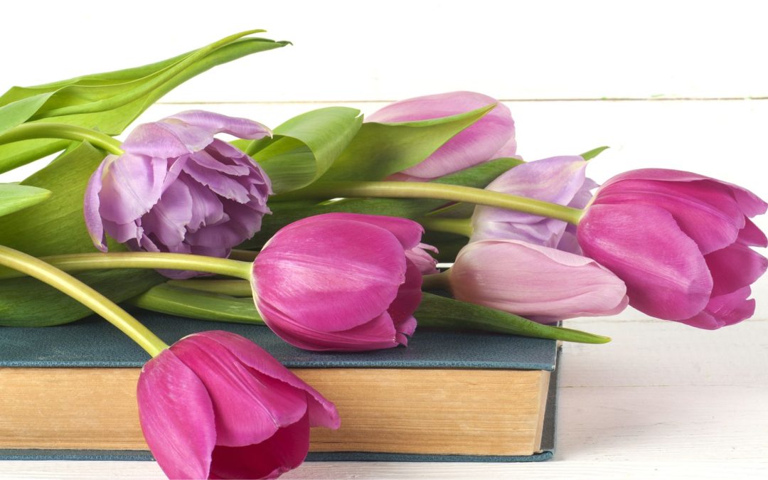 Umblarea mea zilnică – A. W. Tozer
