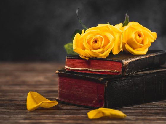 Umblarea mea zilnică – A. W. Tozer