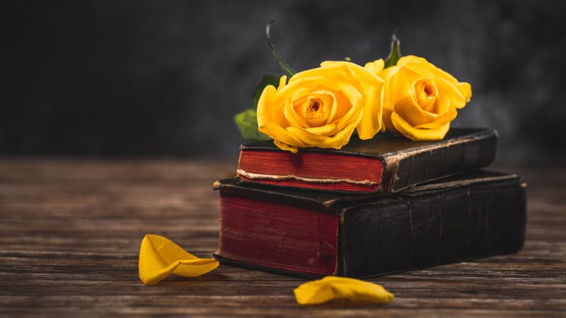 Umblarea mea zilnică – A. W. Tozer