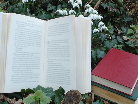 Umblarea mea zilnică – A. W. Tozer