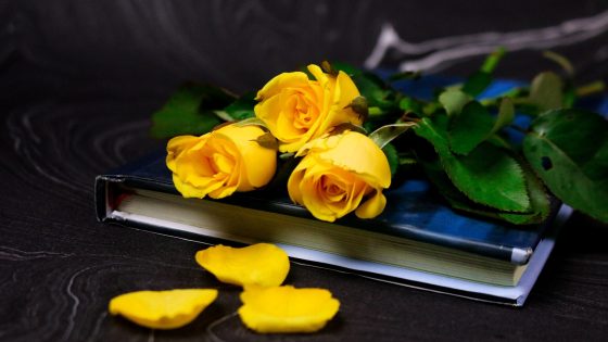 Umblarea mea zilnică – A. W. Tozer