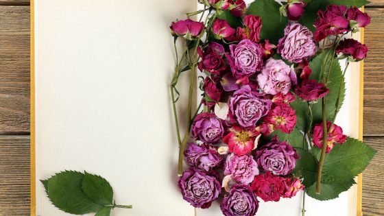 Umblarea mea zilnică – A. W. Tozer