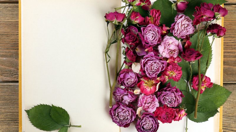 Umblarea mea zilnică – A. W. Tozer