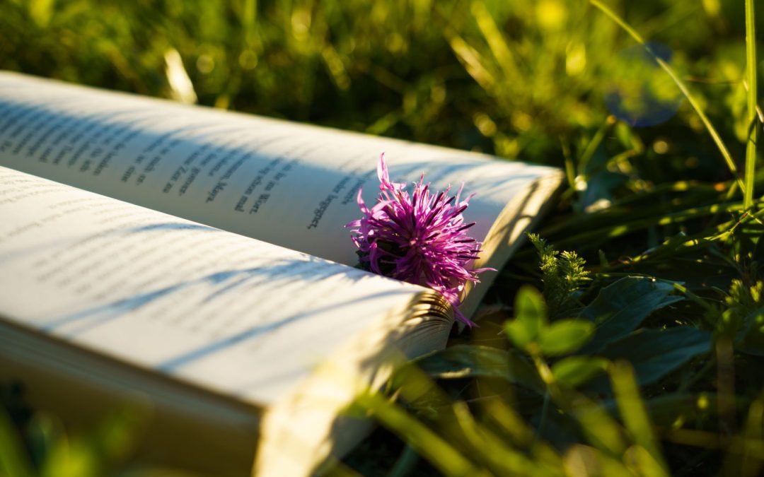Umblarea mea zilnică – A. W. Tozer