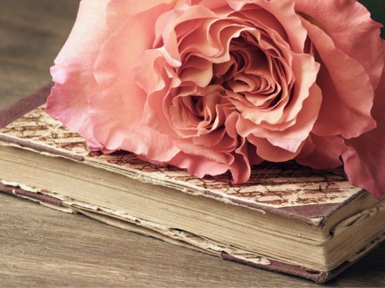 Umblarea mea zilnică – A. W. Tozer