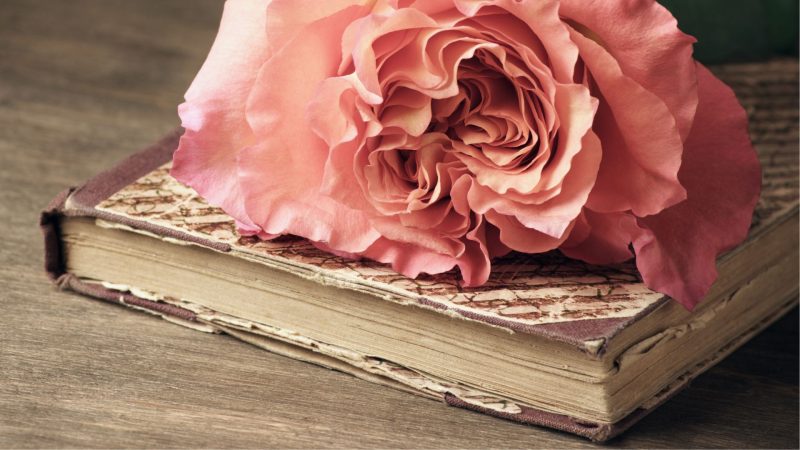 Umblarea mea zilnică – A. W. Tozer