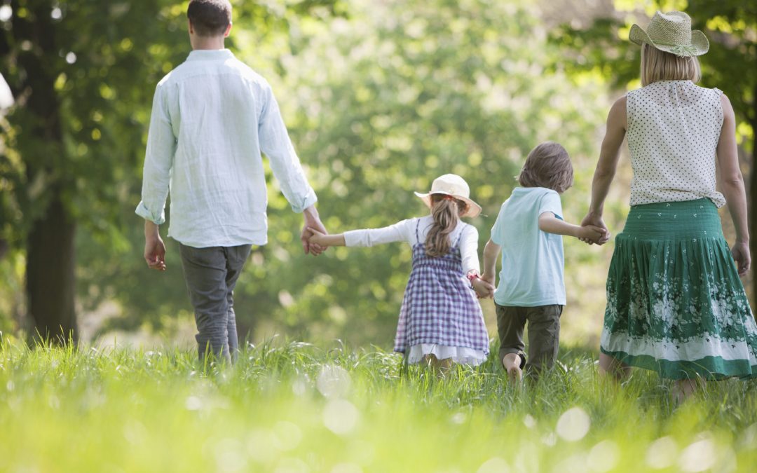 Apărarea familiei – cine sunt cei responsabili?