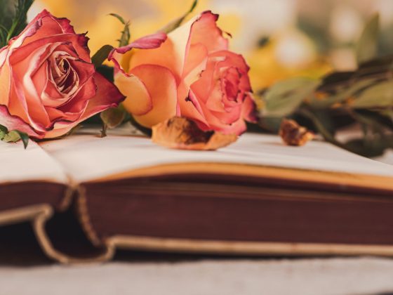 Umblarea mea zilnică – A. W. Tozer