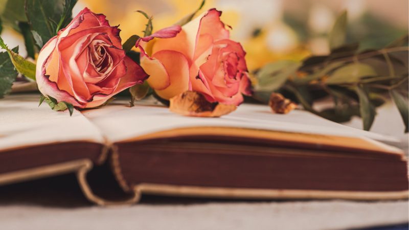 Umblarea mea zilnică – A. W. Tozer