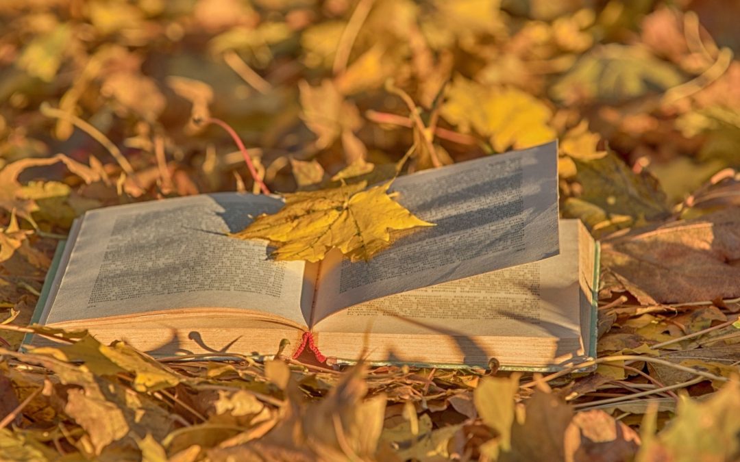 Umblarea mea zilnică – A. W. Tozer