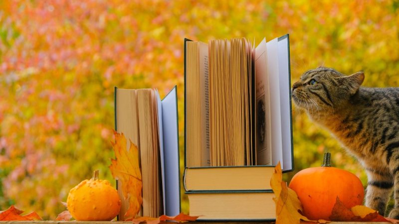 Umblarea mea zilnică – A. W. Tozer