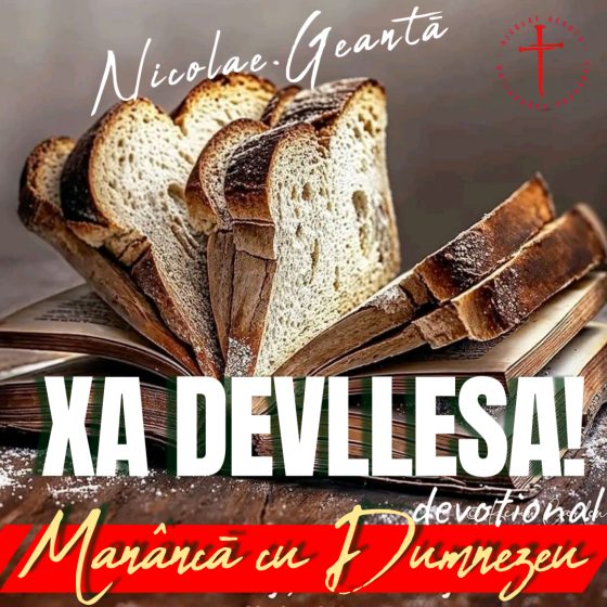 nicolae geanta,nicolae geanta blog,nicolae geanta carti