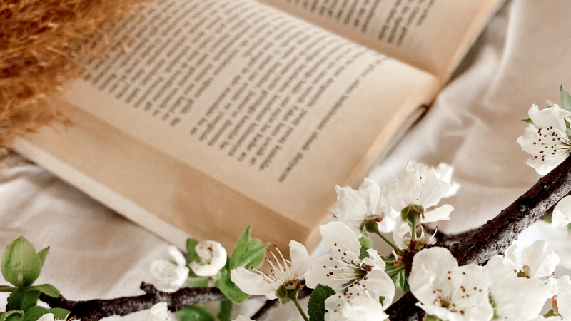 Provocări zilnice pentru creștini // Edwin și Lillian Harvey