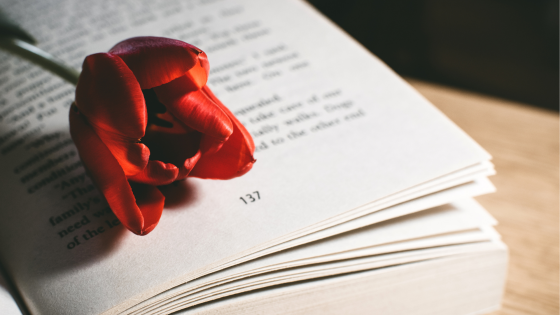 Provocări zilnice pentru creștini // Edwin și Lillian Harvey