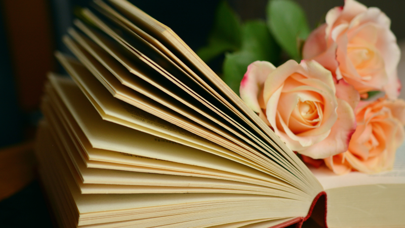 Provocări zilnice pentru creștini // Edwin și Lillian Harvey