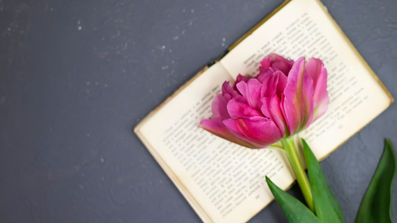 Provocări zilnice pentru creștini // Edwin și Lillian Harvey