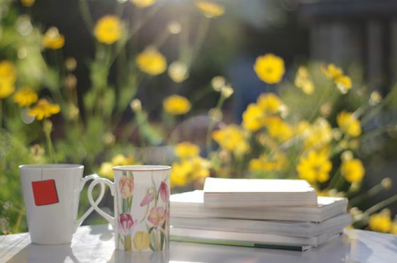 Provocări zilnice pentru creștini // Edwin și Lillian Harvey