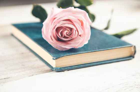 Provocări zilnice pentru creștini // Edwin și Lillian Harvey