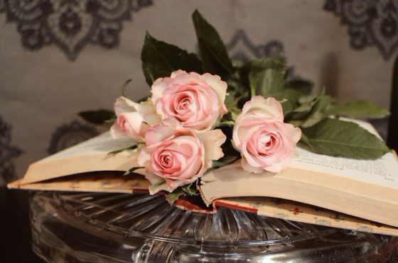 Provocări zilnice pentru creștini // Edwin și Lillian Harvey