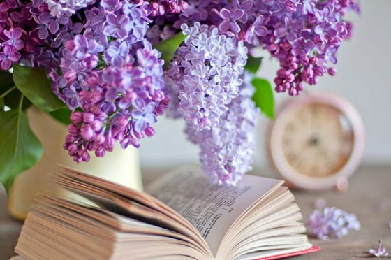 Provocări zilnice pentru creștini // Edwin și Lillian Harvey