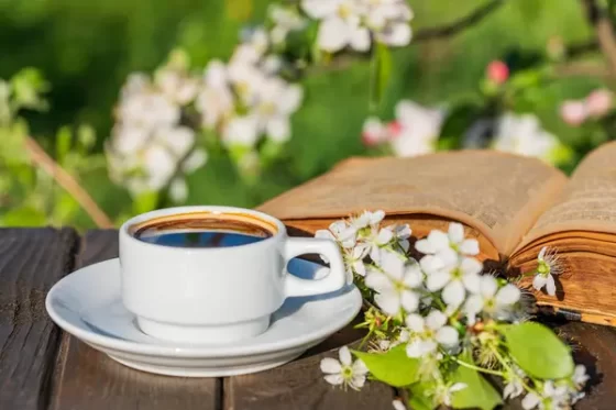 Provocări zilnice pentru creștini // Edwin și Lillian Harvey