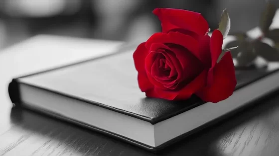 Provocări zilnice pentru creștini // Edwin și Lillian Harvey