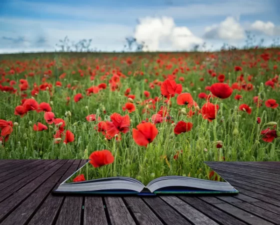 Provocări zilnice pentru creștini // Edwin și Lillian Harvey