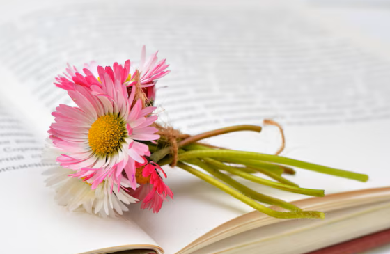 Provocări zilnice pentru creștini // Edwin și Lillian Harvey