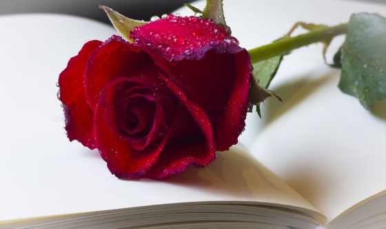 Provocări zilnice pentru creștini // Edwin și Lillian Harvey