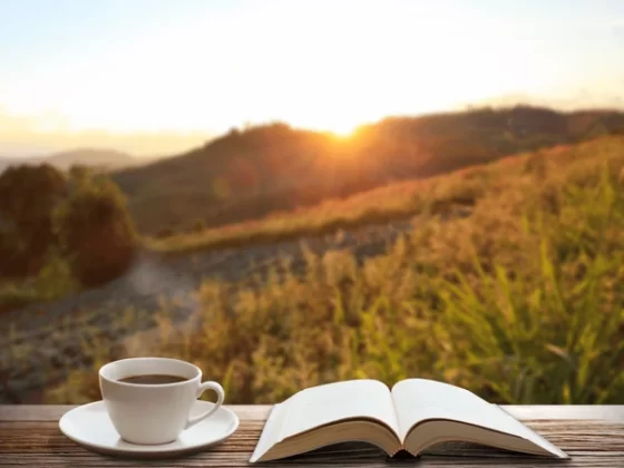 Provocări zilnice pentru creștini // Edwin și Lillian Harvey