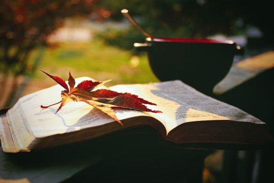 Provocări zilnice pentru creștini // Edwin și Lillian Harvey