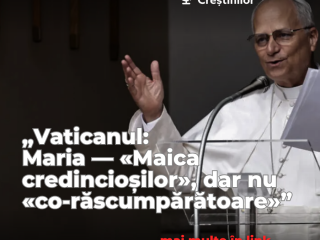 Sursa foto: Hepta via Mediafax Foto