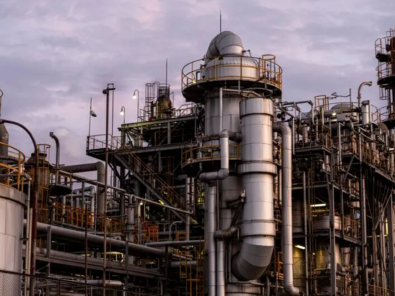 Foto: Designed by Freepik