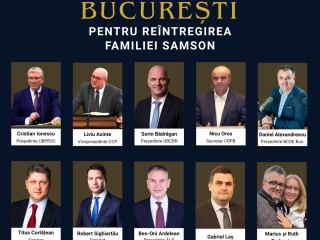 protest bucurești pentru reîntregirea familiei samson (1)